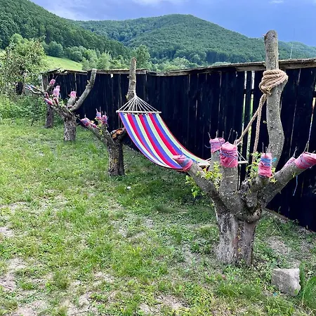 Casa Ariana * Poiana Aiudului